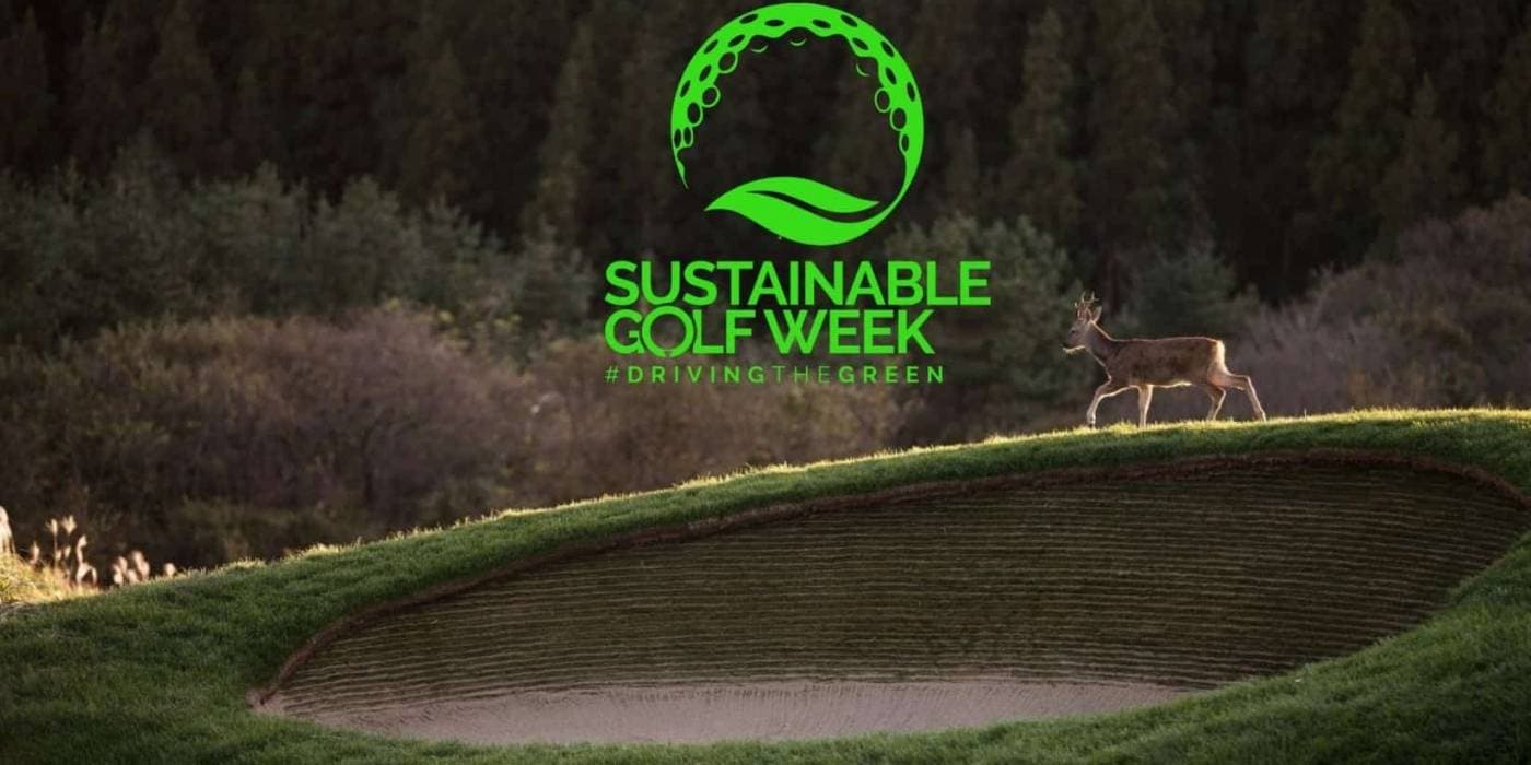 Cover image for the article: Sustainable Golf Week 2025: How Courses Protect Nature